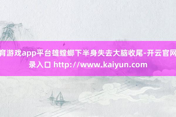 体育游戏app平台雄螳螂下半身失去大脑收尾-开云官网登录入口 http://www.kaiyun.com