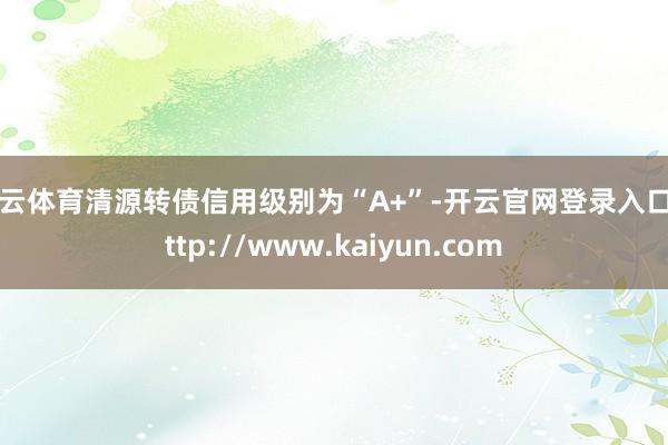开云体育清源转债信用级别为“A+”-开云官网登录入口 http://www.kaiyun.com