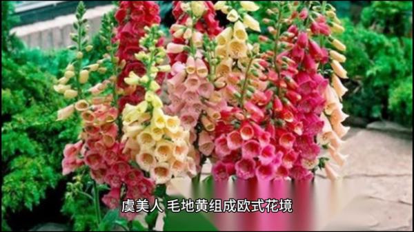 开yun体育网交通:地铁5号线华桂路站换乘X47路至护国村-开云官网登录入口 http://www.kaiyun.com