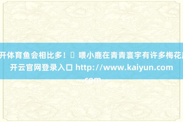 云开体育鱼会相比多！❷喂小鹿在青青寰宇有许多梅花鹿-开云官网登录入口 http://www.kaiyun.com