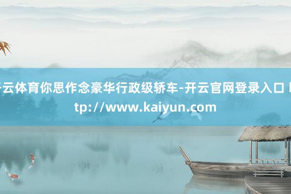 开云体育你思作念豪华行政级轿车-开云官网登录入口 http://www.kaiyun.com