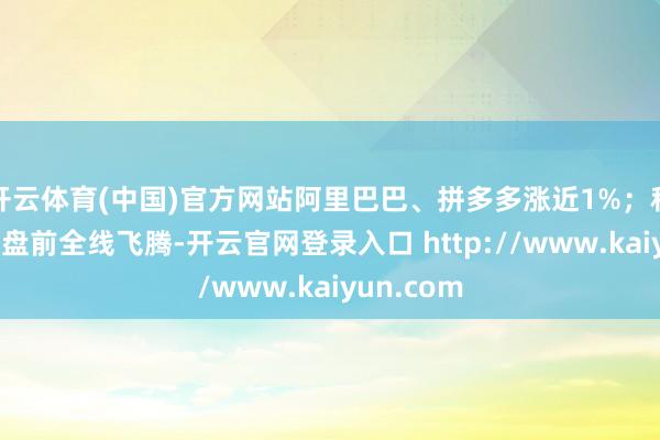 开云体育(中国)官方网站阿里巴巴、拼多多涨近1%；科技七巨头盘前全线飞腾-开云官网登录入口 http://www.kaiyun.com