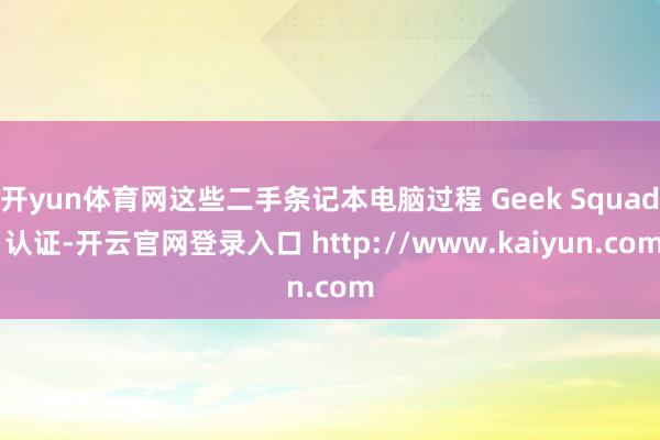 开yun体育网这些二手条记本电脑过程 Geek Squad 认证-开云官网登录入口 http://www.kaiyun.com