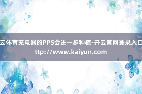开云体育充电器的PPS会进一步种植-开云官网登录入口 http://www.kaiyun.com