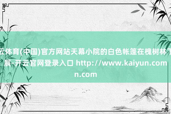 开云体育(中国)官方网站天幕小院的白色帐篷在槐树林下舒展-开云官网登录入口 http://www.kaiyun.com