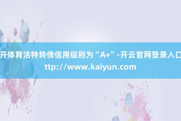 云开体育洁特转债信用级别为“A+”-开云官网登录入口 http://www.kaiyun.com