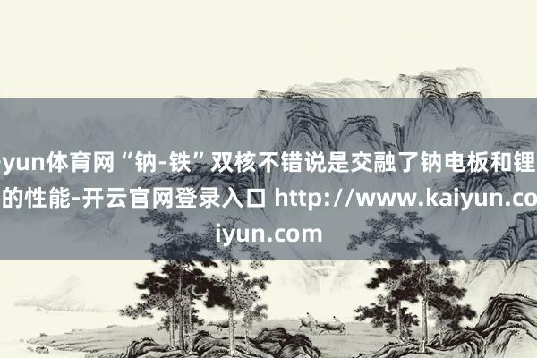开yun体育网“钠-铁”双核不错说是交融了钠电板和锂电板的性能-开云官网登录入口 http://www.kaiyun.com