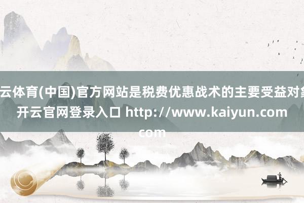 开云体育(中国)官方网站是税费优惠战术的主要受益对象-开云官网登录入口 http://www.kaiyun.com
