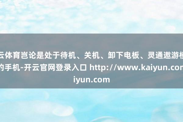 开云体育岂论是处于待机、关机、卸下电板、灵通遨游模式的手机-开云官网登录入口 http://www.kaiyun.com